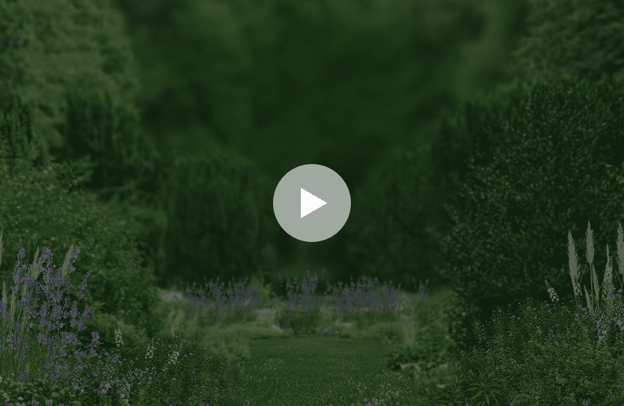 Sứ mệnh của GG Corporation